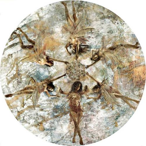 维萨・基维宁作品：“生命之花”（Flower Of Life）