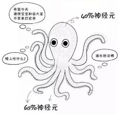 边缘计算就像是拥有众多神经元的章鱼。